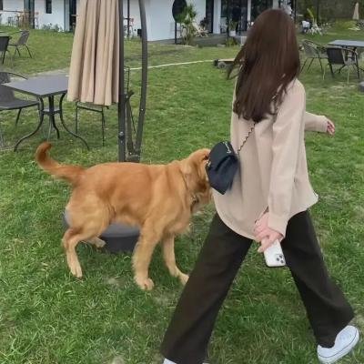 正午